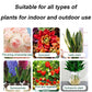 👍[Aanbevolen door plantenexperts]🌿Vloeibare oplossing voor activering van planten en bloemen