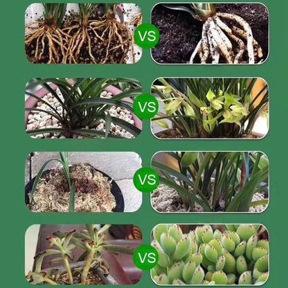 👍[Aanbevolen door plantenexperts]🌿Vloeibare oplossing voor activering van planten en bloemen